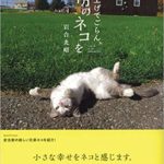 見上げてごらん、朝のネコを