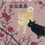 春淡し