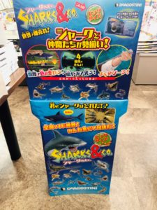 シャークと仲間たち