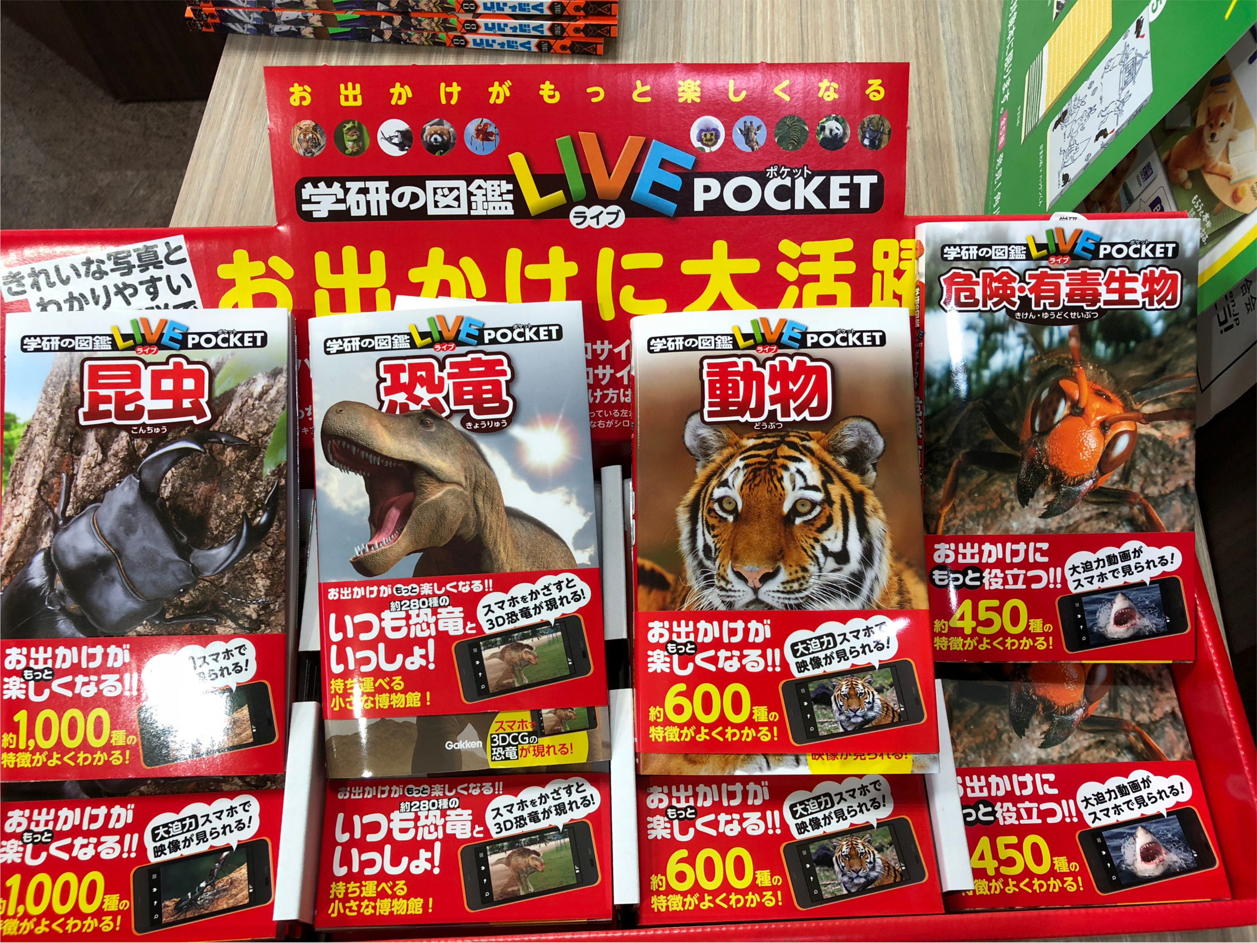 IMG 0423 - 夏の自由研究にオススメです！