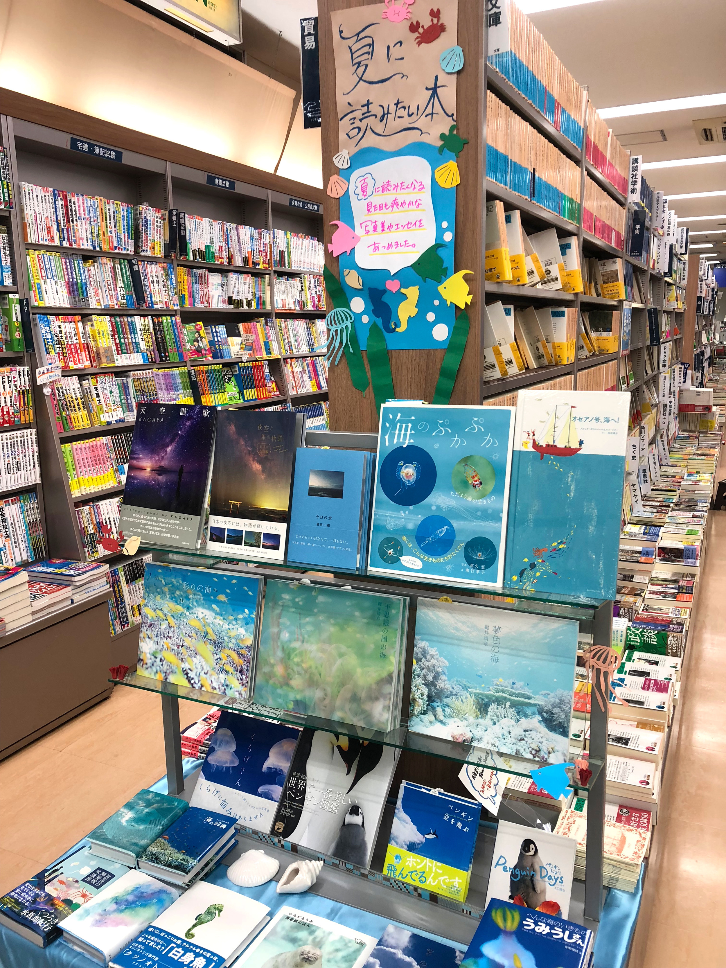 IMG 0495 - 夏に読みたい本　?爽やか編?